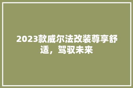 2023款威尔法改装尊享舒适，驾驭未来