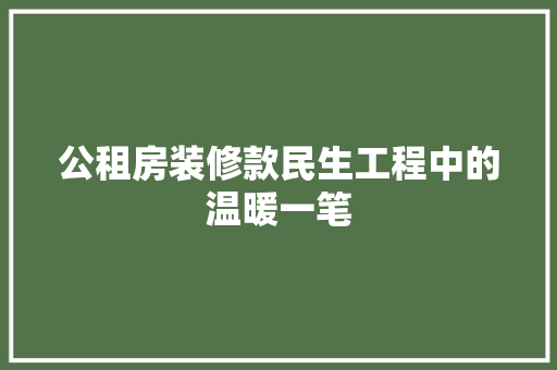 公租房装修款民生工程中的温暖一笔