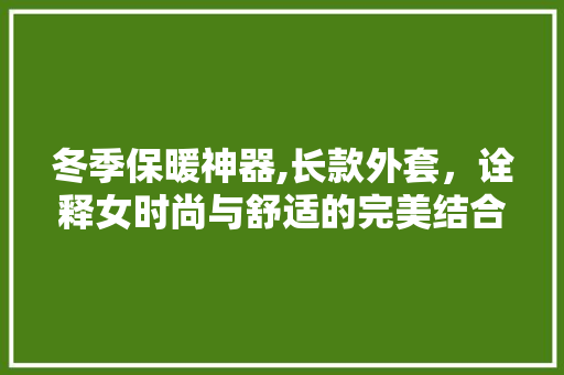 冬季保暖神器,长款外套，诠释女时尚与舒适的完美结合  第1张