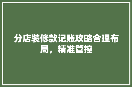 分店装修款记账攻略合理布局，精准管控  第1张