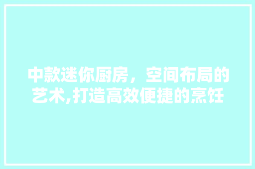 中款迷你厨房，空间布局的艺术,打造高效便捷的烹饪天堂  第1张