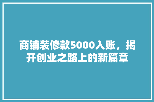商铺装修款5000入账，揭开创业之路上的新篇章  第1张