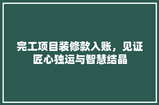 完工项目装修款入账，见证匠心独运与智慧结晶  第1张