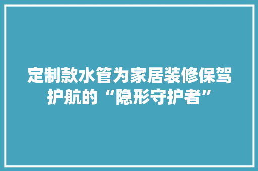 定制款水管为家居装修保驾护航的“隐形守护者”  第1张