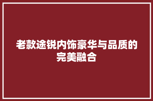 老款途锐内饰豪华与品质的完美融合