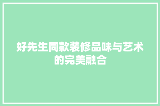 好先生同款装修品味与艺术的完美融合  第1张