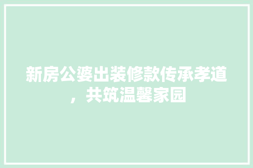 新房公婆出装修款传承孝道，共筑温馨家园  第1张