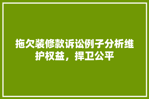 拖欠装修款诉讼例子分析维护权益，捍卫公平