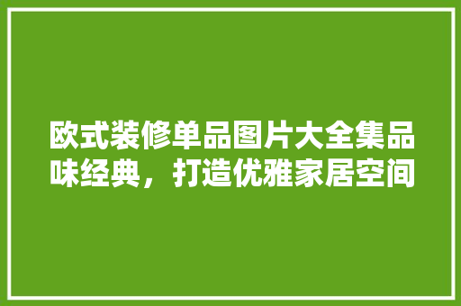 欧式装修单品图片大全集品味经典，打造优雅家居空间  第1张