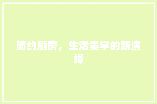 简约厨房，生活美学的新演绎  第1张
