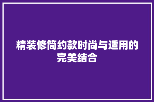 精装修简约款时尚与适用的完美结合  第1张