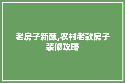 老房子新颜,农村老款房子装修攻略  第1张