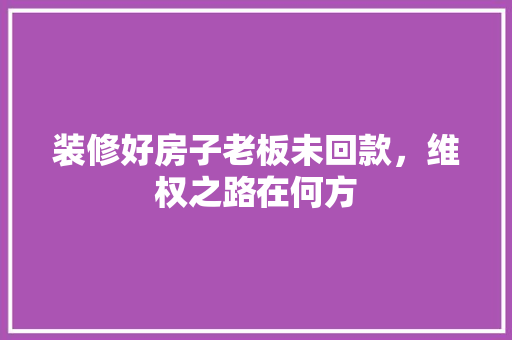 装修好房子老板未回款，维权之路在何方