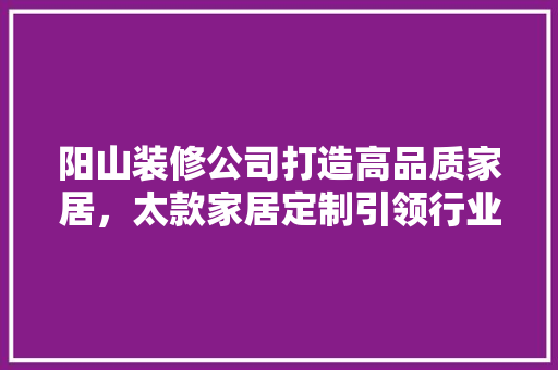 阳山装修公司打造高品质家居，太款家居定制引领行业新潮流