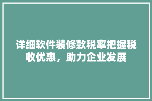 详细软件装修款税率把握税收优惠，助力企业发展