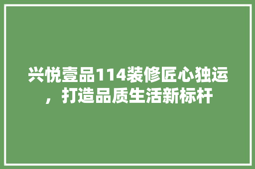 兴悦壹品114装修匠心独运，打造品质生活新标杆  第1张