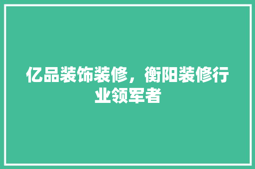 亿品装饰装修，衡阳装修行业领军者  第1张