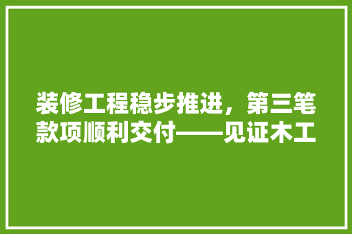 装修工程稳步推进，第三笔款项顺利交付——见证木工工艺的精湛与品质的升华