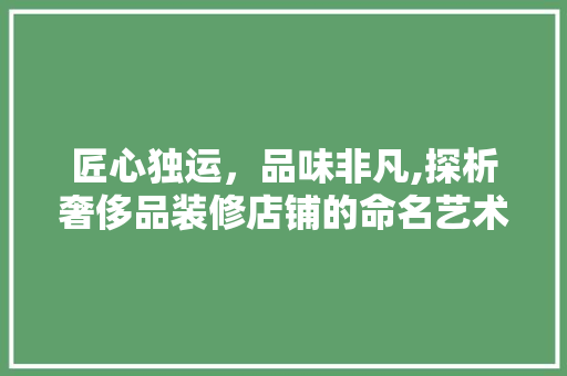 匠心独运，品味非凡,探析奢侈品装修店铺的命名艺术  第1张