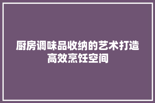 厨房调味品收纳的艺术打造高效烹饪空间