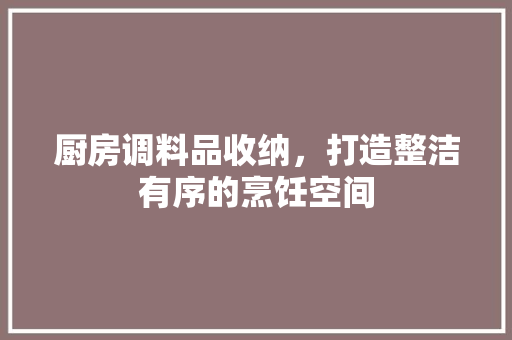 厨房调料品收纳，打造整洁有序的烹饪空间  第1张