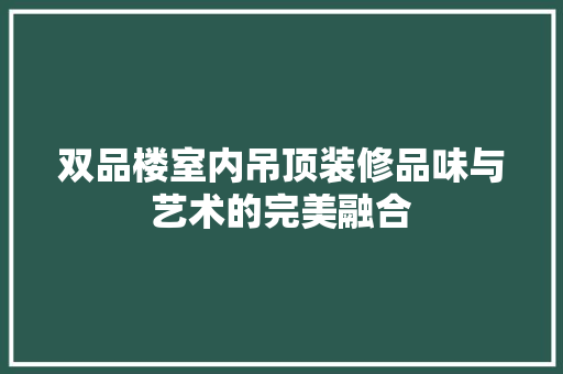 双品楼室内吊顶装修品味与艺术的完美融合