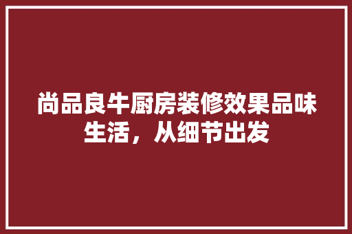 尚品良牛厨房装修效果品味生活，从细节出发