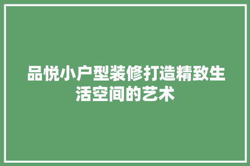 品悦小户型装修打造精致生活空间的艺术