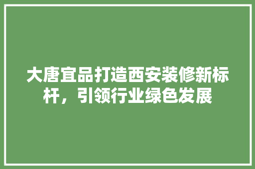 大唐宜品打造西安装修新标杆，引领行业绿色发展