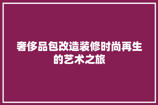 奢侈品包改造装修时尚再生的艺术之旅