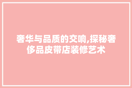 奢华与品质的交响,探秘奢侈品皮带店装修艺术