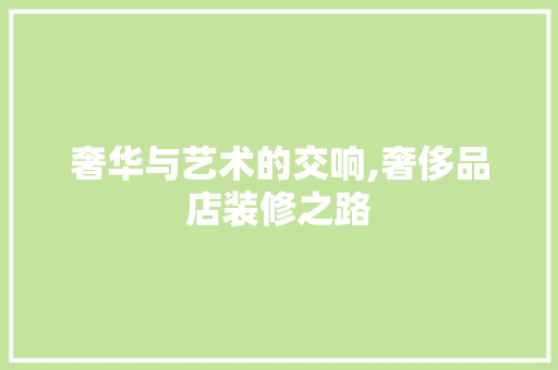 奢华与艺术的交响,奢侈品店装修之路