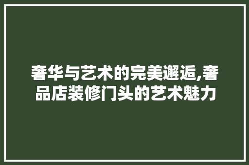 奢华与艺术的完美邂逅,奢品店装修门头的艺术魅力