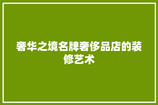 奢华之境名牌奢侈品店的装修艺术