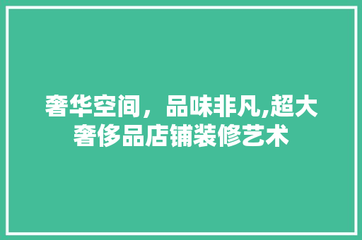 奢华空间，品味非凡,超大奢侈品店铺装修艺术