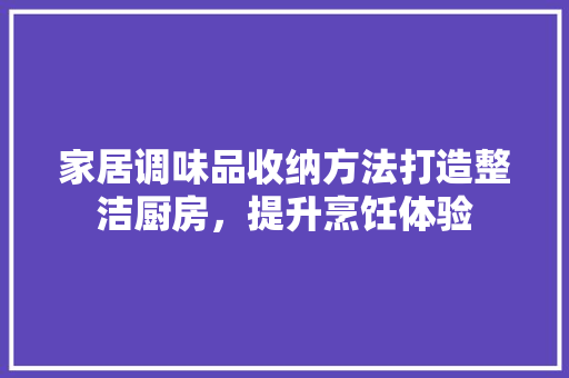 家居调味品收纳方法打造整洁厨房，提升烹饪体验