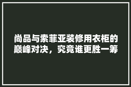 尚品与索菲亚装修用衣柜的巅峰对决，究竟谁更胜一筹
