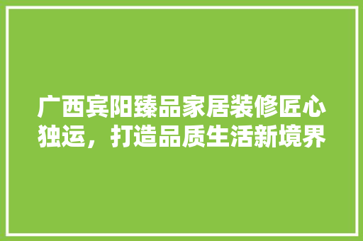 广西宾阳臻品家居装修匠心独运，打造品质生活新境界