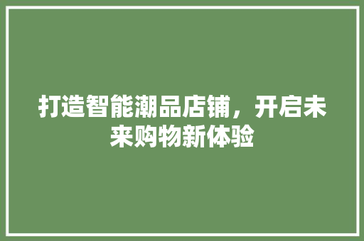 打造智能潮品店铺，开启未来购物新体验