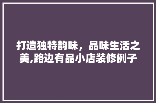 打造独特韵味，品味生活之美,路边有品小店装修例子