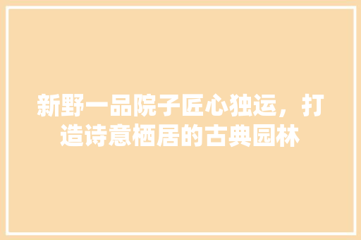 新野一品院子匠心独运，打造诗意栖居的古典园林