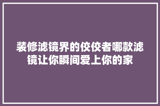 装修滤镜界的佼佼者哪款滤镜让你瞬间爱上你的家