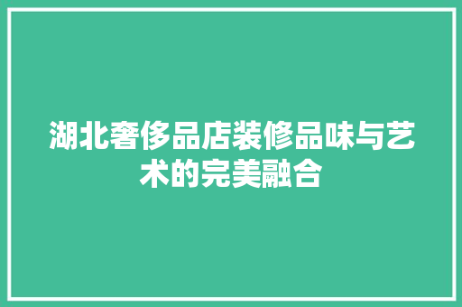 湖北奢侈品店装修品味与艺术的完美融合