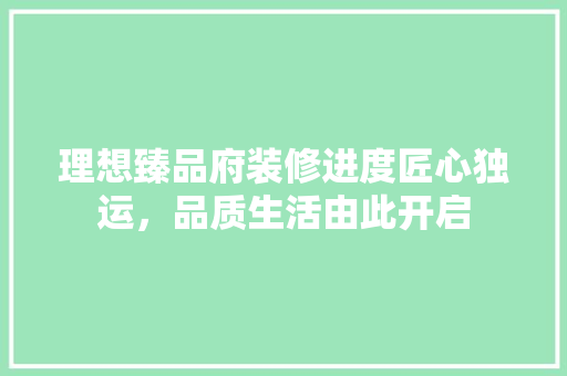 理想臻品府装修进度匠心独运，品质生活由此开启