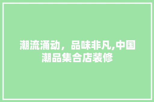 潮流涌动，品味非凡,中国潮品集合店装修