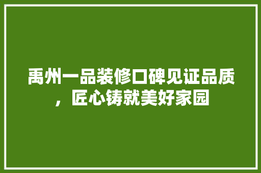 禹州一品装修口碑见证品质，匠心铸就美好家园