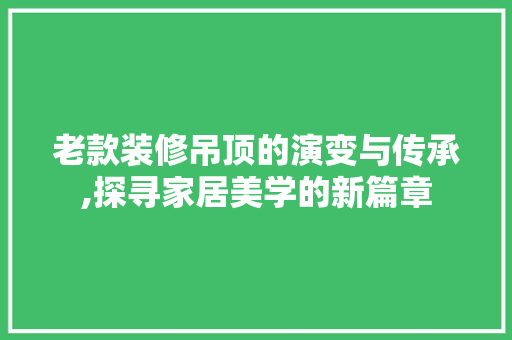 老款装修吊顶的演变与传承,探寻家居美学的新篇章