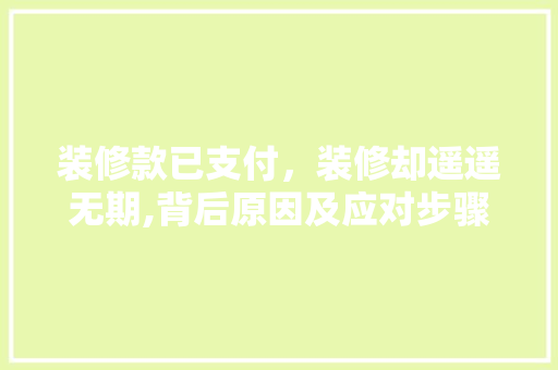 装修款已支付，装修却遥遥无期,背后原因及应对步骤