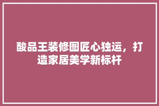 酸品王装修图匠心独运，打造家居美学新标杆