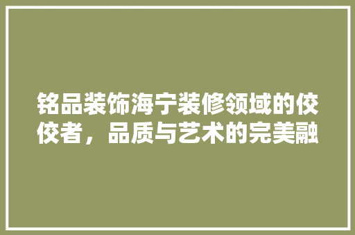 铭品装饰海宁装修领域的佼佼者，品质与艺术的完美融合